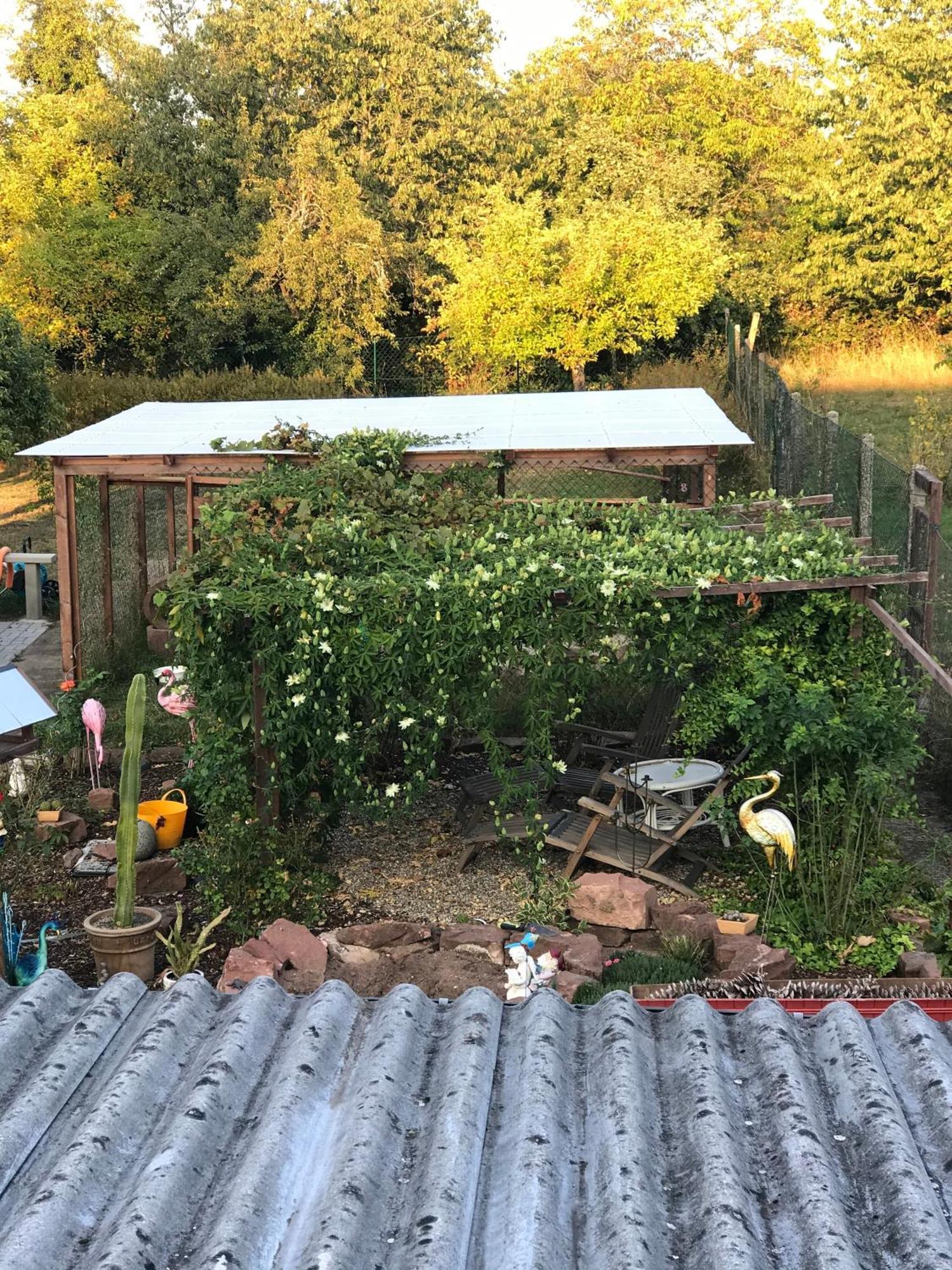 Apartament Casa Bella Ella Vinningen Zewnętrze zdjęcie